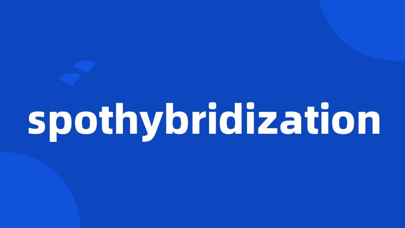 spothybridization