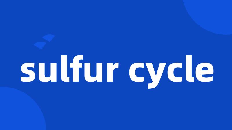 sulfur cycle