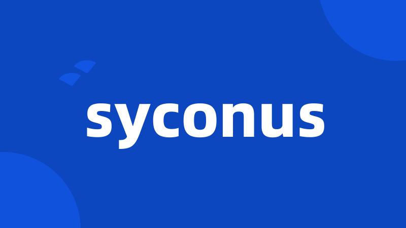 syconus