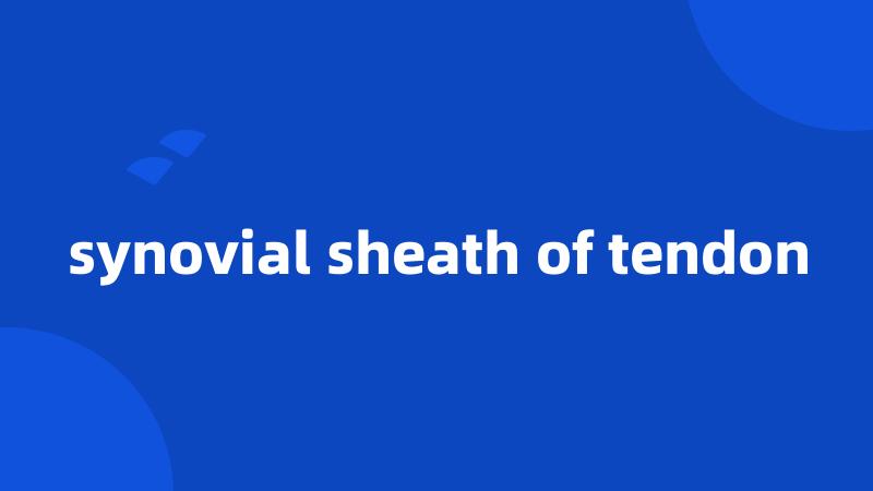 synovial sheath of tendon