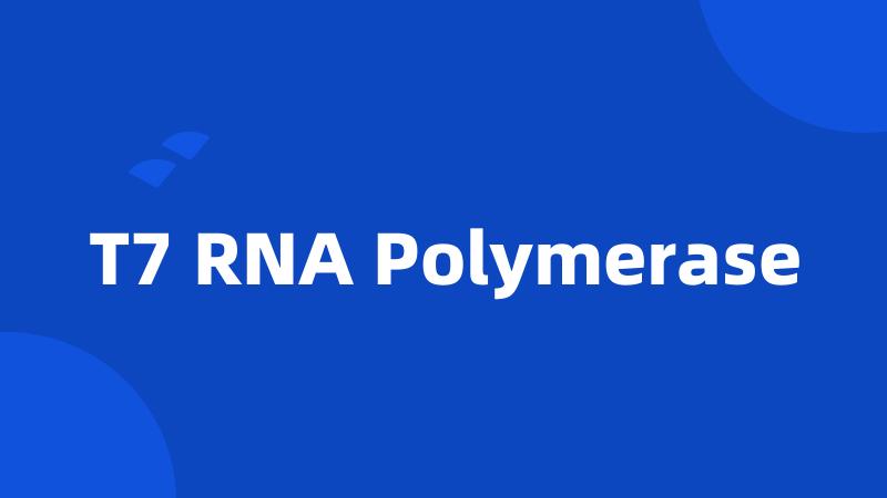 T7 RNA Polymerase