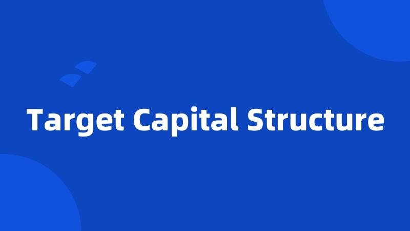 Target Capital Structure