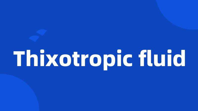 Thixotropic fluid