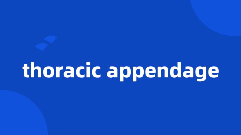 thoracic appendage