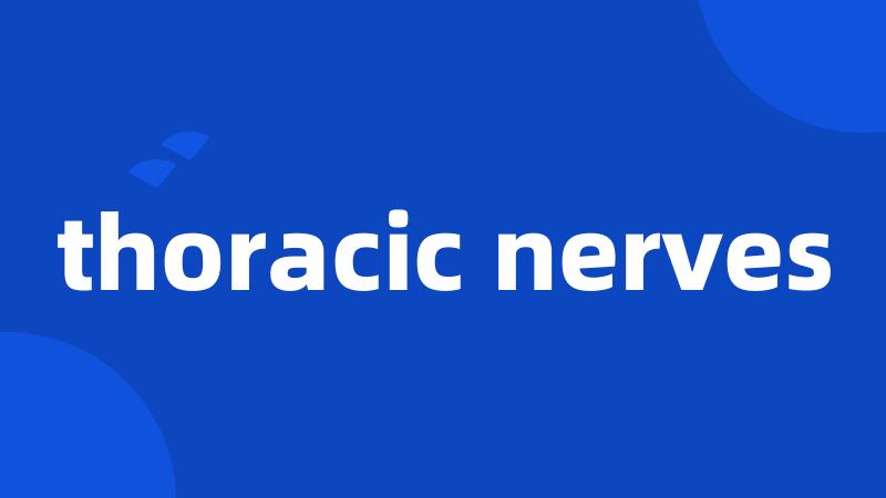 thoracic nerves