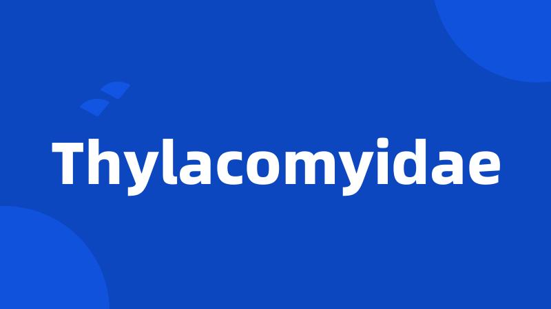 Thylacomyidae