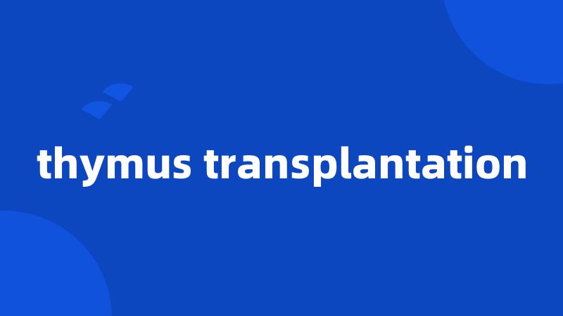 thymus transplantation