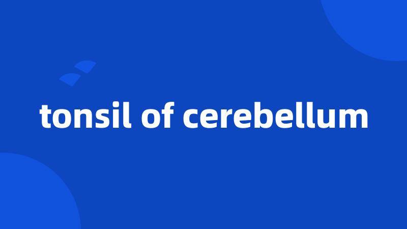 tonsil of cerebellum