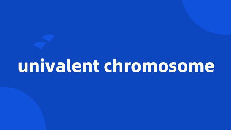 univalent chromosome