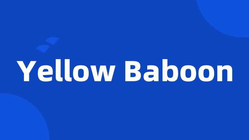 Yellow Baboon