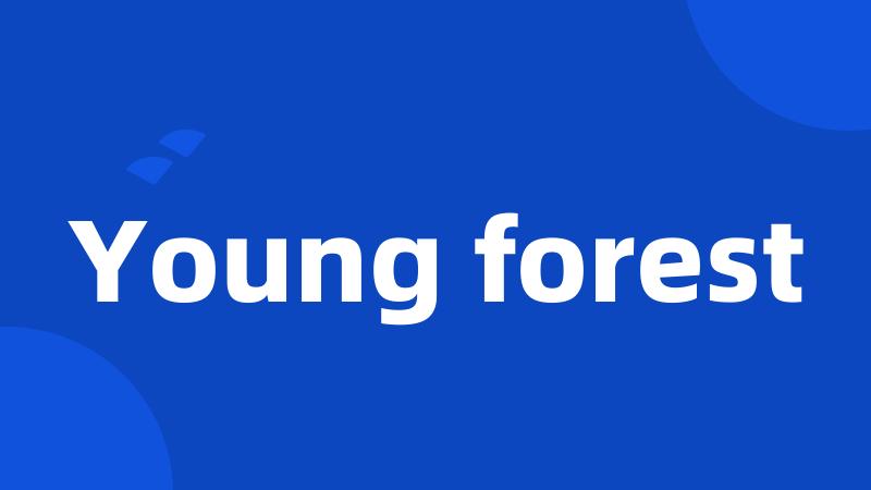 Young forest