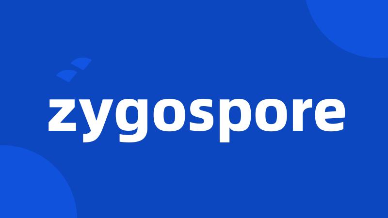 zygospore