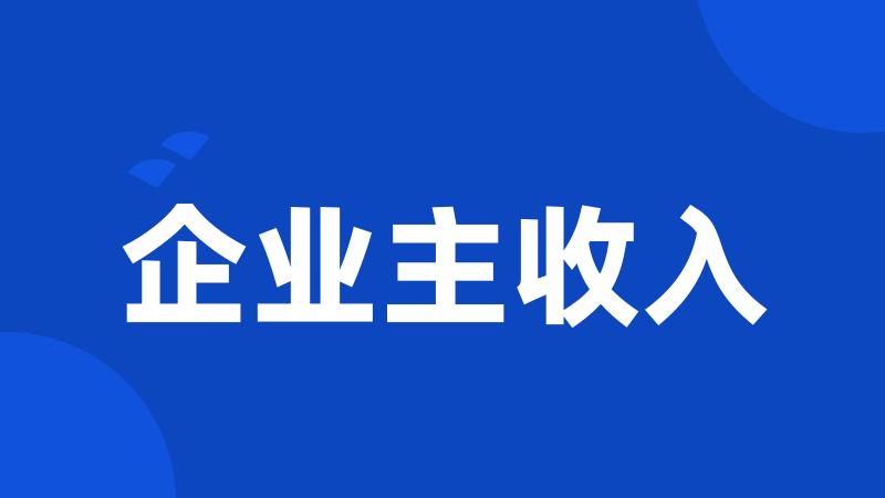 企业主收入