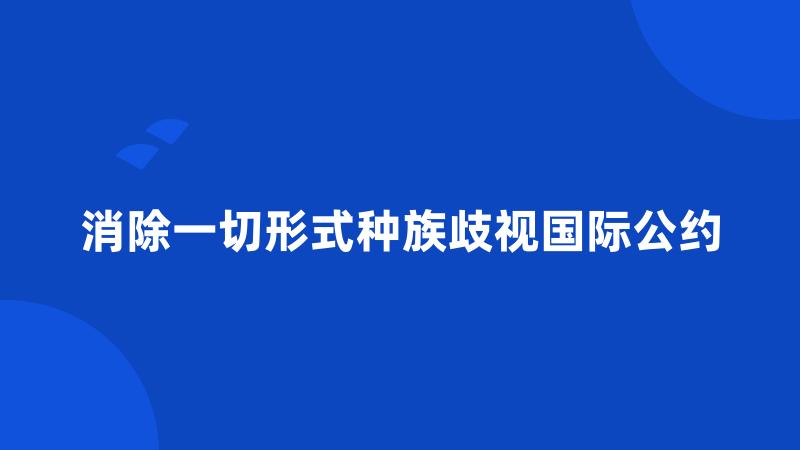 消除一切形式种族歧视国际公约