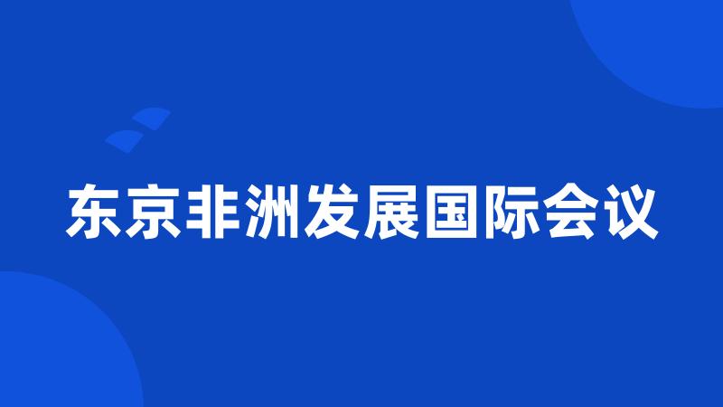 东京非洲发展国际会议