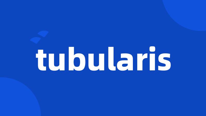 tubularis