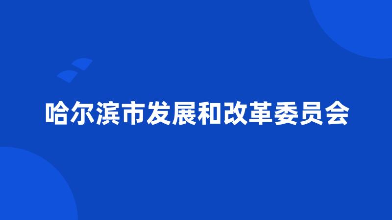 哈尔滨市发展和改革委员会