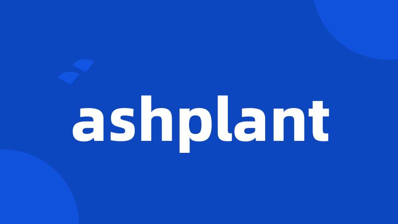 ashplant