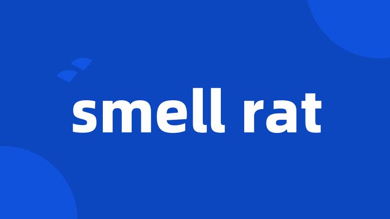 smell rat