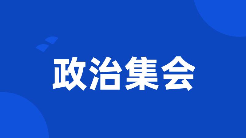 政治集会