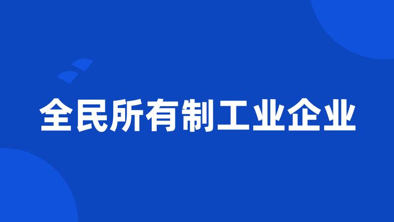 全民所有制工业企业