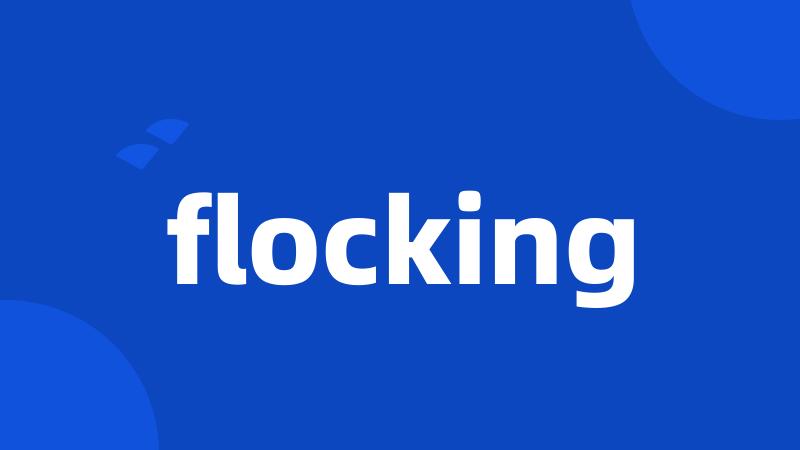 flocking