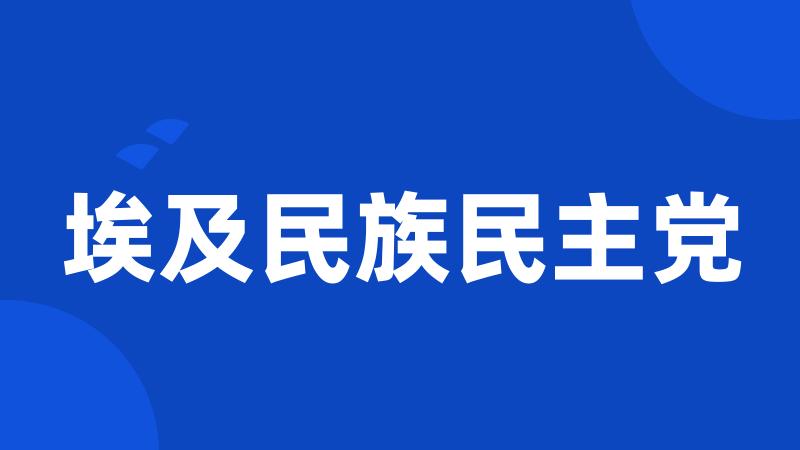 埃及民族民主党