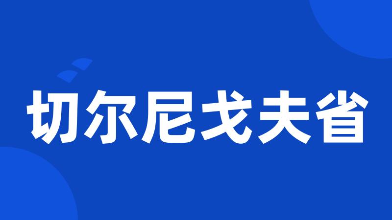 切尔尼戈夫省