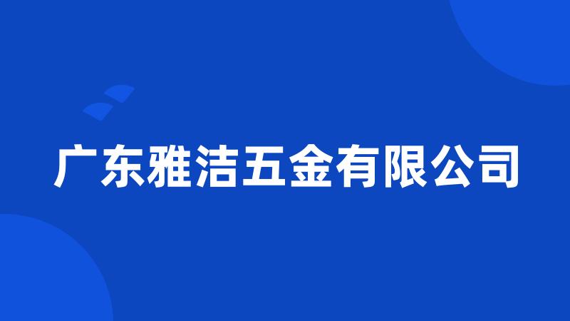 广东雅洁五金有限公司