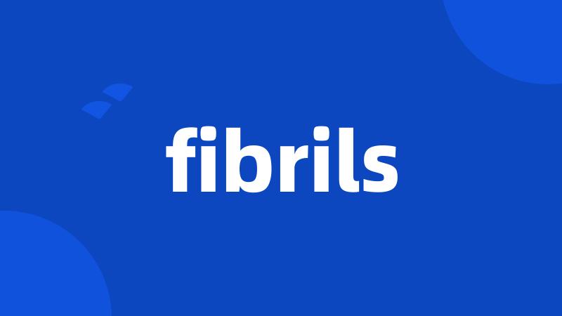 fibrils