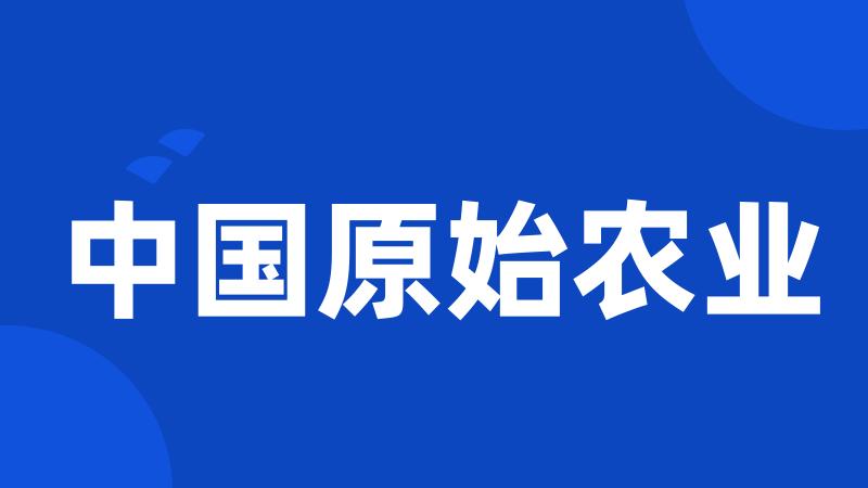 中国原始农业