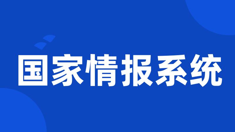 国家情报系统