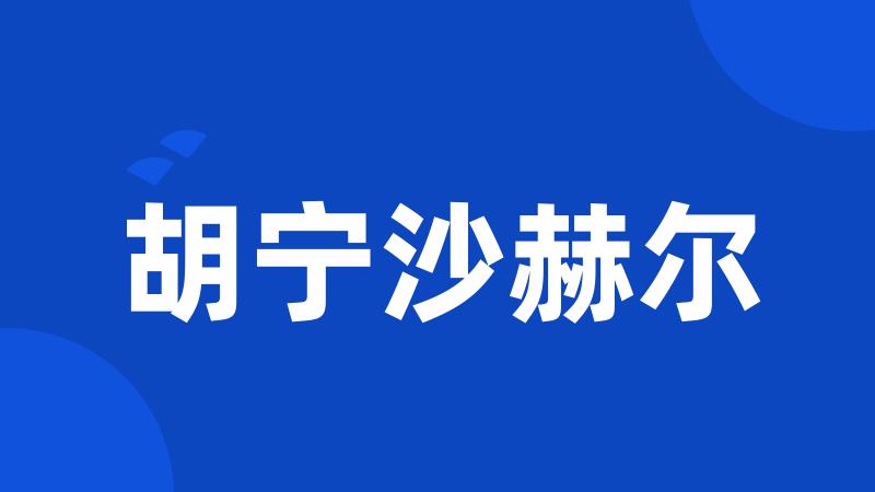 胡宁沙赫尔