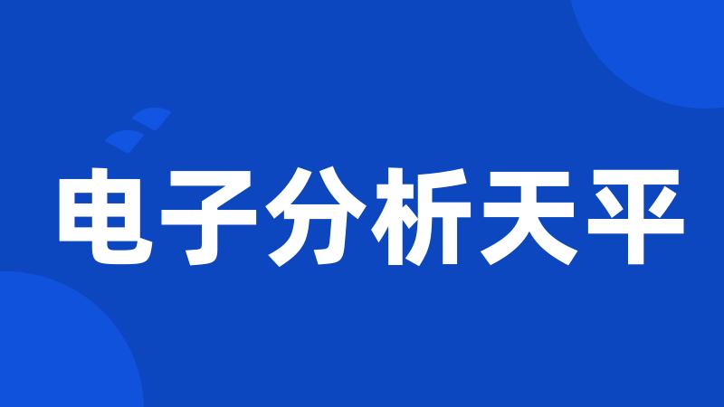 电子分析天平