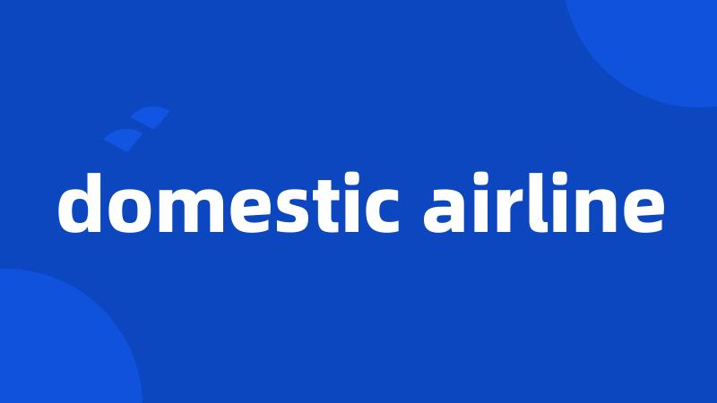 domestic airline
