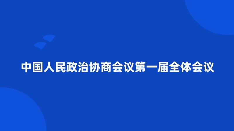 中国人民政治协商会议第一届全体会议