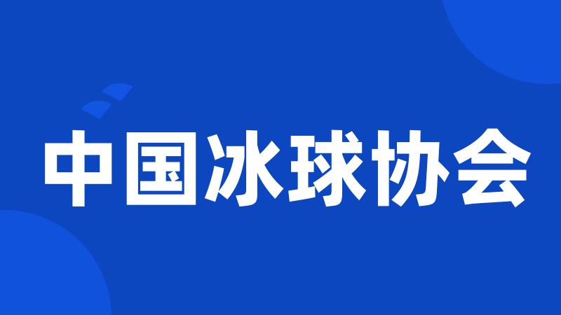 中国冰球协会