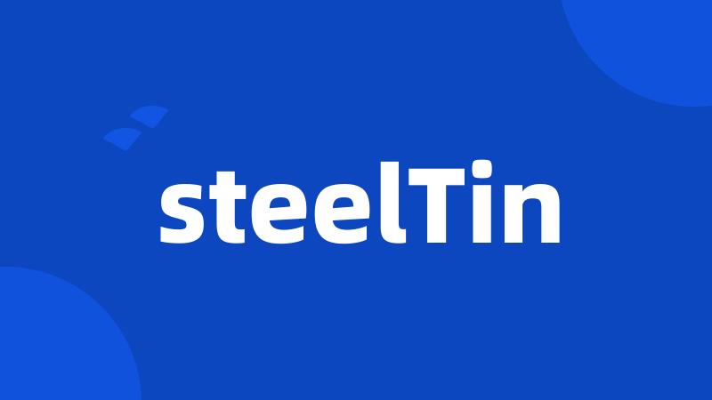 steelTin