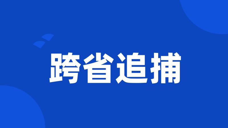 跨省追捕