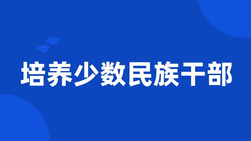 培养少数民族干部