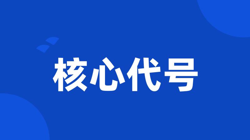 核心代号