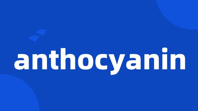 anthocyanin