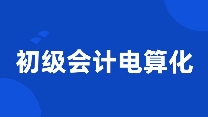 初级会计电算化