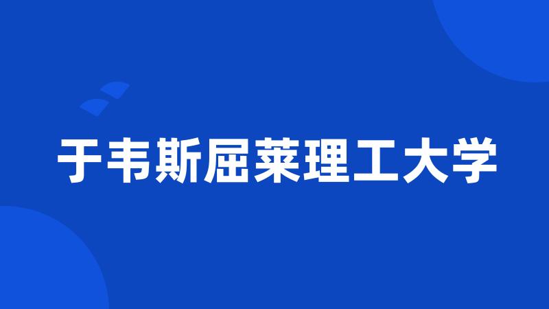 于韦斯屈莱理工大学