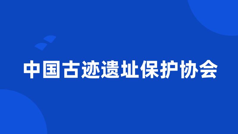 中国古迹遗址保护协会