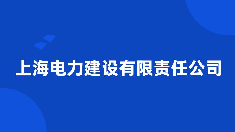 上海电力建设有限责任公司