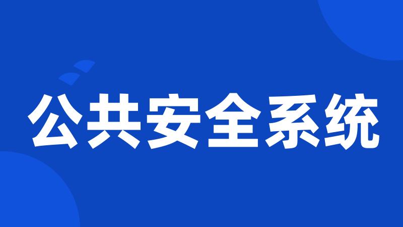 公共安全系统