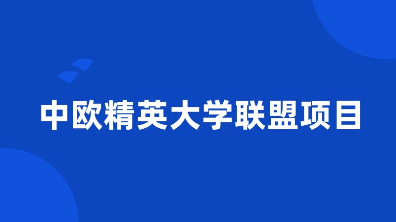 中欧精英大学联盟项目