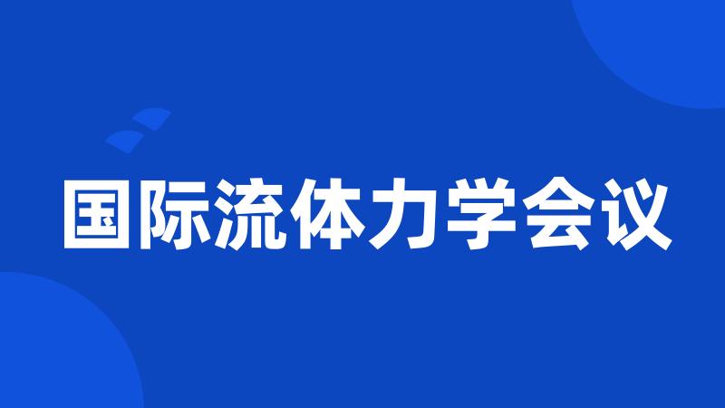 国际流体力学会议