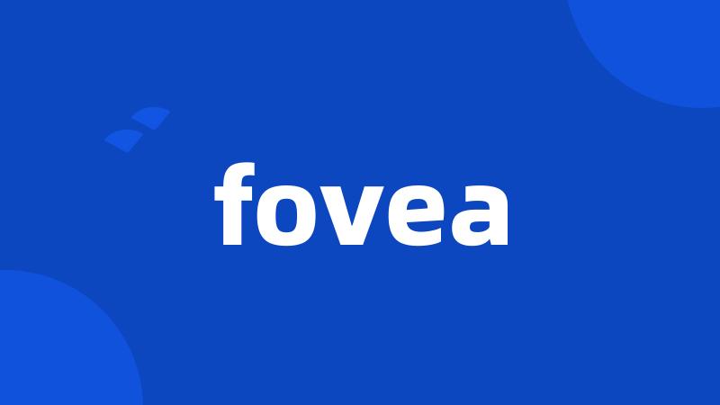 fovea